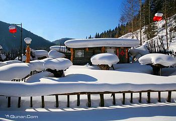 雪乡国家森林公园第 23 张图片