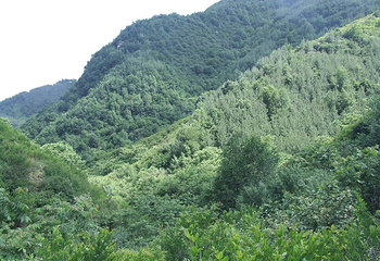 天砚山第 4 张图片