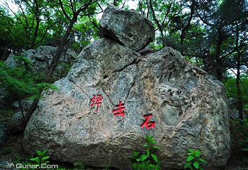 孟良崮旅游区第 12 张图片