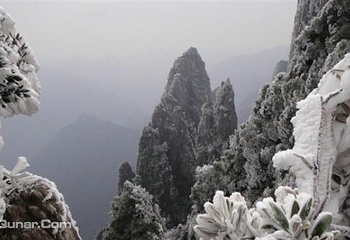 莽山旅游区国家森林公园第 11 张图片