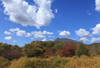 阿尔山白狼峰景区第 61 张图片