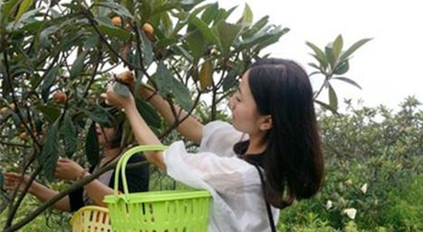 杭州山果湾农庄