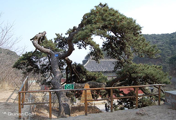 沂蒙山旅游区沂山景区第 54 张图片