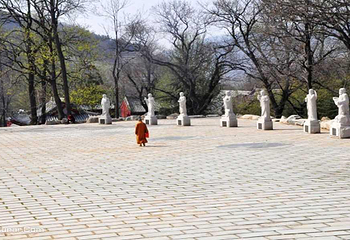 明光寺景区第 2 张图片