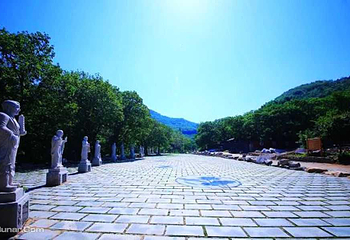 明光寺景区第 1 张图片