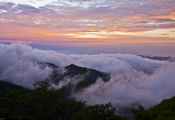 沂蒙山旅游区沂山景区第 66 张图片
