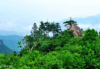 天罡山第 5 张图片
