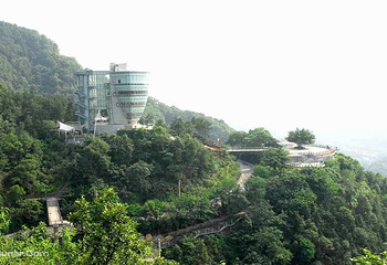 南山一棵树观景台第 25 张图片