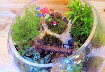 魔幻奇境微景观DIY手工坊第 3 张图片