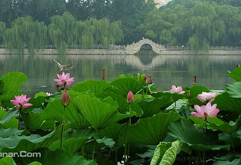 天下第一泉风景区第 29 张图片