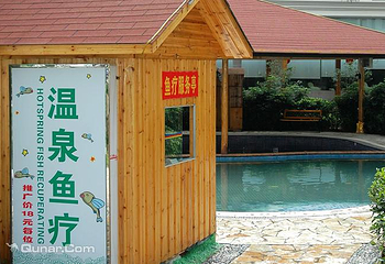 聚龙湾温泉第 11 张图片