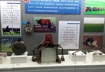 东北师范大学东北民族民俗博物馆第 7 张图片