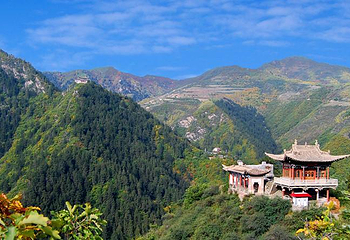 兴隆山自然保护区第 10 张图片