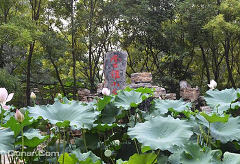 雪雅小庄温泉乡村酒店第 8 张图片