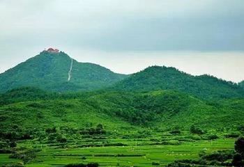 灵谷峰景区第 3 张图片
