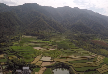 胡哥旅游郴州飞云之上滑翔伞基地第 2 张图片