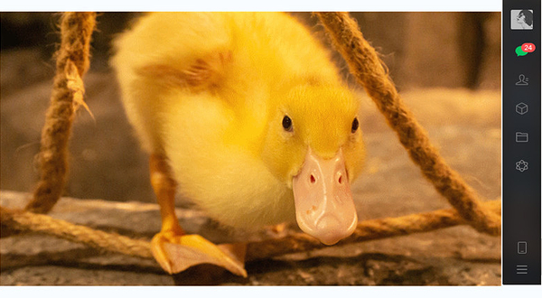 嘟噜嘟噜萌宠主题乐园