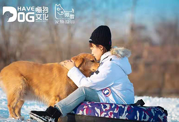 宠物滑雪乐园第 1 张图片