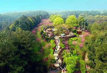 自贡尖山风景区第 16 张图片