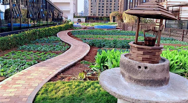 田园趣天空农场