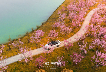 同心花海第 2 张图片