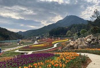 茶陵茶乡花海景区第 5 张图片