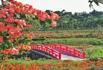 香草田园共享农庄第 7 张图片