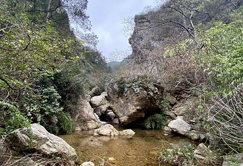 茶陵茶乡花海景区第 3 张图片