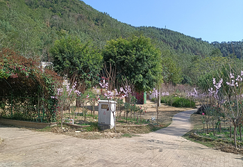 茶山樱花谷主题景区第 17 张图片