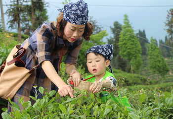 茶溪谷第 56 张图片
