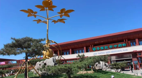 安国数字中药都