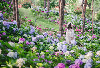 木兰花乡景区(木兰不夜城)第 39 张图片