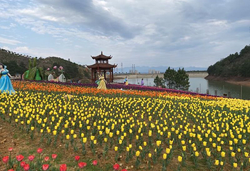 茶陵茶乡花海景区第 2 张图片