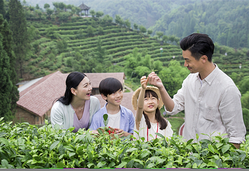 茶溪谷第 44 张图片
