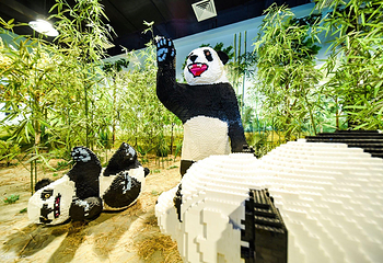 大梦探索乐园第 45 张图片