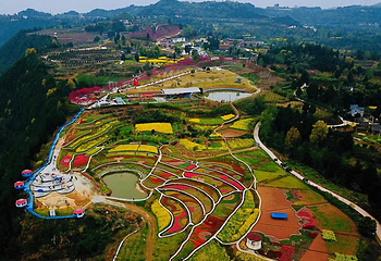 巴山花海第 7 张图片