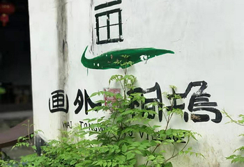 外桐坞村艺术小镇第 8 张图片