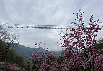 天府花溪谷第 52 张图片