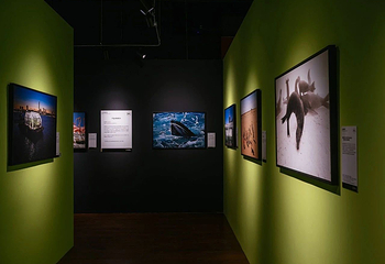 「西南首展」国家地理经典影像大展第 2 张图片