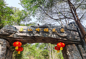 株洲婆仙岭樱花园第 13 张图片