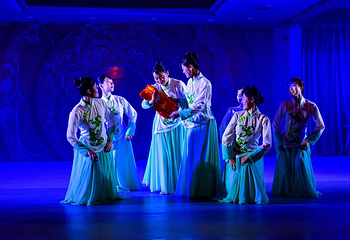 湘遇•桃花源演艺第 4 张图片