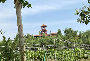 郑州晨明生态园第 3 张图片
