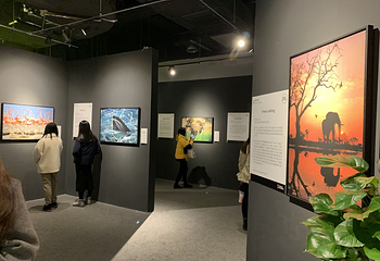「西南首展」国家地理经典影像大展第 1 张图片