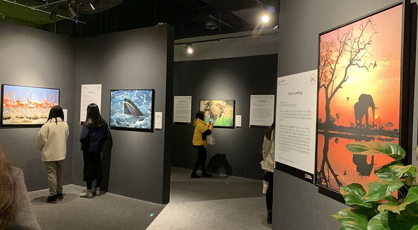 「西南首展」国家地理经典影像大展