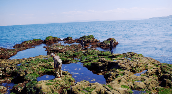 猿岛-Sarushima Island