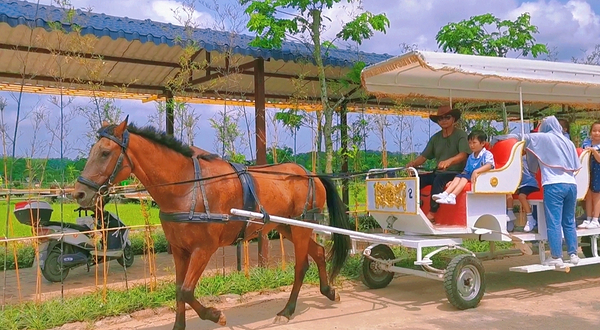 潭丰洋火山湿地自然农庄