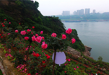 铜锣花谷生态园第 4 张图片