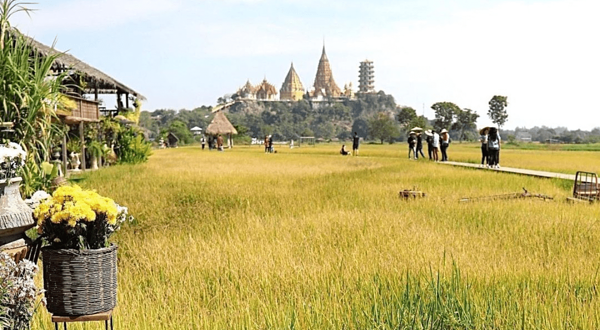 田野咖啡馆-Meena Cafe