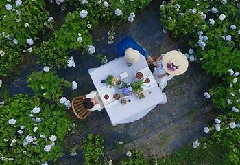 鹿野花塔第 16 张图片