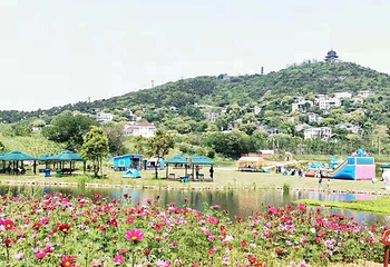 铃兰花海乐园第 2 张图片